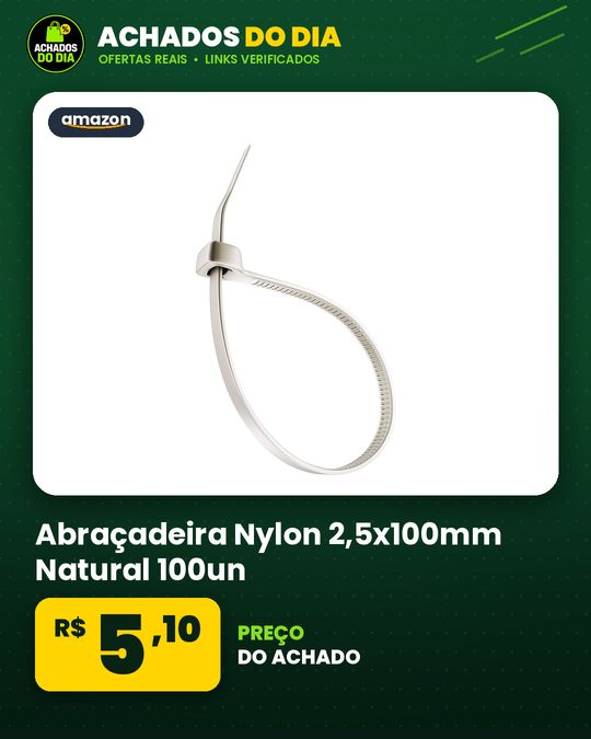 Abraçadeira Nylon 2,5x100mm Natural 100un